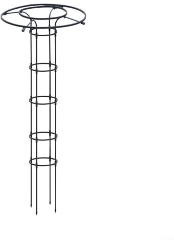 Support de vigne d'extérieur en PVC noir pour plantes grimpantes, roses, tomates, légumes, 150 cm (180 cm)