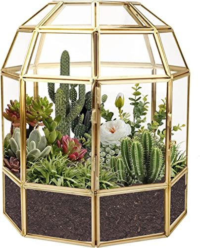 Homtone Großer Geometrischer Terrarium-Pflanzgefäß 18 cm, Golden | Vogelkäfig-Form, Handgefertigte Glasbox, Vintage-Tischplatte, Miniatur-Blumentopf für Sukkulenten, Kakteen