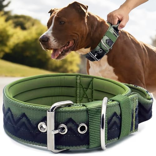 Hundehalsband Große Hunde NeckShield Kontroll - 5 cm Breit Halsband Hund mit Extra Dicker Polsterung und Griff, Professioneller Schutz 50-58 cm, GRÜN