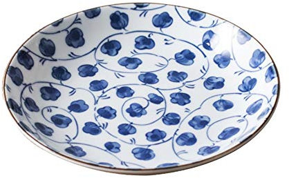 Bol à Ramen en céramique de Style Japonais, Bol de Service, Bol en Porcelaine Bleu et Blanc, Vaisselle en céramique, Grand Bol à Salade léger, Bols à céréales et Nouilles
