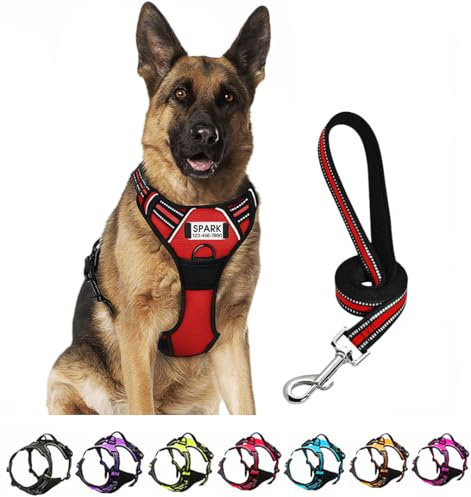 SLZZ Ensemble harnais et laisse pour chien personnalisé anti-traction avec nom et numéro de téléphone - Harnais pour chien rembourré doux et réfléchissant robuste pour petits chiens de taille moyenne