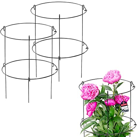 KADAX Support de Jardin en Acier revêtu par pulvérisation - Support pour Plantes - Support pour Plantes - Support pour Plantes - Support de Plantes - Support de Plantes- Lot de 3 : Hauteur : 60,5 cm