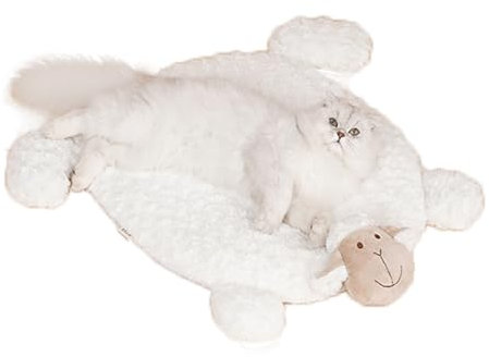 Coogime Haustier Decke Katze, Katzenbett flauschig, waschbar 50 * 60cm Hundebett, Katzenschlafplatz für Katzen und Hunde,Katzenkissen, warme Katzenkorb (White)