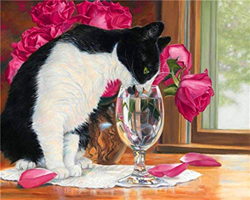 WOWDECOR Peinture Numéro Adulte Enfant, Mignon Chat Tasse Rouge Rose Fleur DIY Peinture par numero, Paint by Numbers