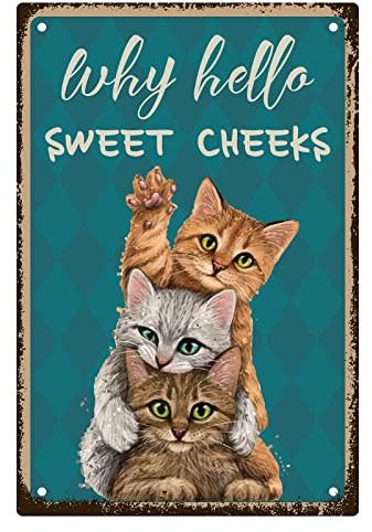 CREATCABIN - Metal Cartel de Por Qué Hello Sweet Cheeks - Divertido Hojalata Vintage Retro para Colgar En Pared - Decoración Arte Hogar Baño Cocina Sala Estar Navidad Halloween