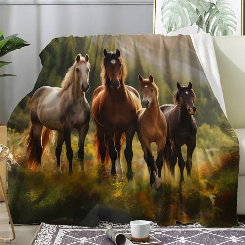 Bauernhaus Kuscheldecke Flauschig, Decke Fleecedecke Pferd, Weiche Warme Decke Wohndecke als Sofadecke Wolldecke Couchdecke Tagesdecke 200x200 cm S-572