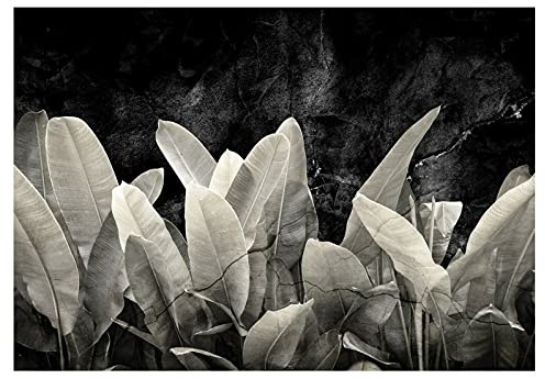 Carta Da Parati Fotografica Foglie Banano Nero Calcestruzzo Tropicali - Include Colla - Moderna Design Carta per Pareti Soggiorno Camera Da Letto Sala Fotomurali In Tessuto Non Tessuto TNT (104x70 cm) | Carta da parati in tessuto non tessuto di alta qualità, per soggiorno e camera da letto, effetto 3D, con colla, Art Deco