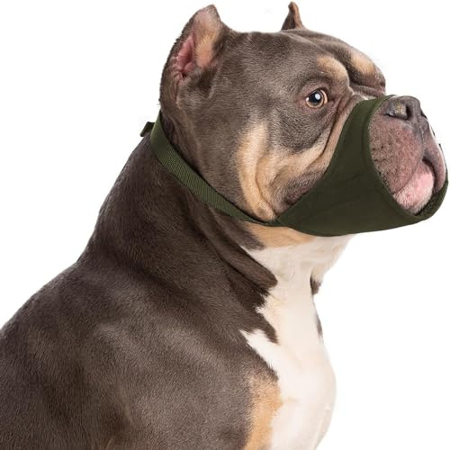 HYHIOTS Maulkorb Hunde für Kleine Mittlere Hunde, Giftköderschutz Verhindert Fressen Bellen für Chihuahua, Shih Tzu Bulldogge, Pitbull (Grün, L)