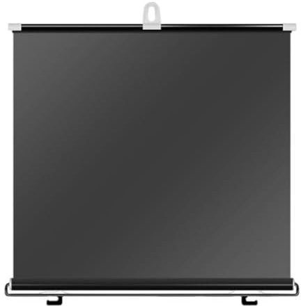 Protector de Visera Solar, 50×125cm Parasol Enrollable retráctil, Parasol para Parabrisas de Coche, Parasoles retráctiles automáticos, Obturador Delantero/Trasero, Accesorios Interiores para la m