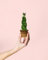 Sansevieria Trenzada | Mini Plantas Naturales Interior | Pur Plant