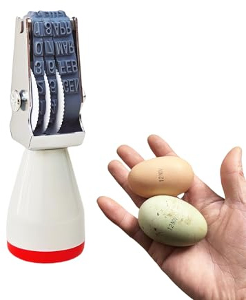 Homvik Kit Datario per Uova, Timbro in Gomma da 4mm con Data, Francobolli per Uova Fresche di Fattoria