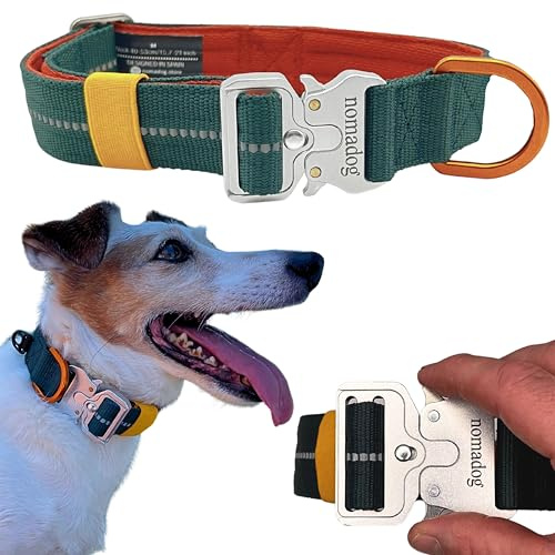Nomadog Trailblazer Hundehalsband Kleine Hunde - Premium Aluminium-Schnalle, Strapazierfähig, Verstellbar, Gepolstert, Reflektierend (S)