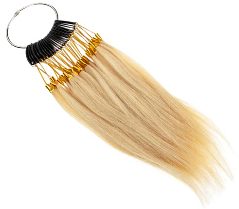 Anneome Nuancier de Cheveux Humains Facile à Ranger pour Test de Coloration Beige Ensemble 1 Set pour Salon et Enseignement en École