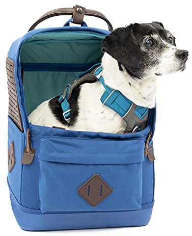 Nomad Hunderucksack, Blau