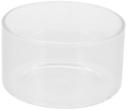 BESTonZON Vase Verre Transparent pour Plantes Petit Vase à Fleurs Verre Terrarium pour Orchidées et Plantes