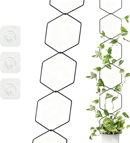 OHYER 10 pièces Treillis à chaîne pour Plantes grimpantes Aide à l'escalade pour Plantes Treillis Mural Hexagonal Comprend 3 Crochets,Convient pour Les vignes,Les pothos dorés,Le Lierre,Le Noir