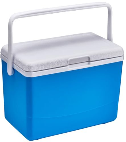 LYEAA 3L isolierter tragbarer Kühler mit Griff, Camping-Auto-Kühlschrank, Wärmeerhaltung, Grill-Isolierbox for Camping, Tailgating