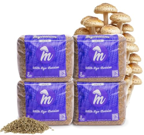 Mycelium Rye Berries Grain Spawn | 4-Pack (3 lb Each) | Pre-Sterilized Mushroom Substrate with Self-Healing Injection Ports | Bulk 12 lb Supply for High-Yield Cultivation
