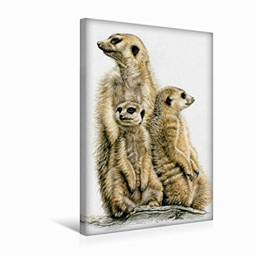 Premium Textil-Leinwand 30 x 45 cm Hoch-Format Erdmännchen bei der Wache | Wandbild, HD-Bild auf Keilrahmen, Fertigbild auf hochwertigem Vlies, Leinwanddruck von Nicole Zeug