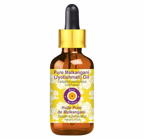 Deve Herbes puro Olio di Malkangani (Malkangni/Jyotishmati). (Celastrus paniculatus) con contagocce di vetro spremuto a freddo 100ml (3.38 oz)