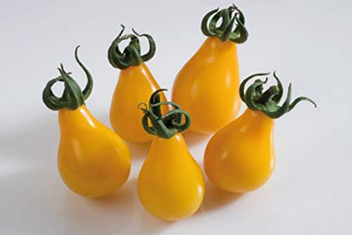 35 Graines de Tomate Cerise Poire Jaune - légumes semis potager - méthode BIO