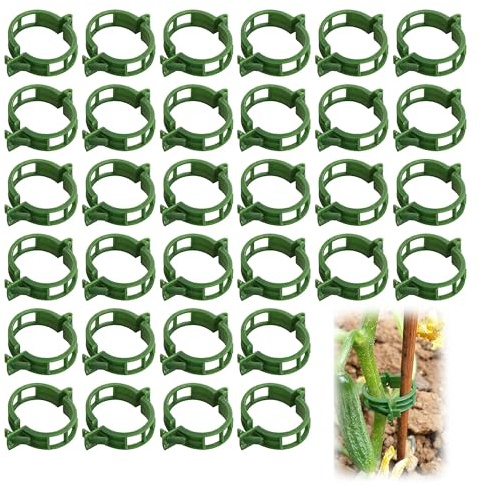 200 Stück Pflanze Clips Kunststoff Tomatenringe Tomatenclips Pflanzenclips | Pflanzenklammern Rebe Clips Pflanzenklammern Gurkenclips Rankhilfe für Gemüse Tomate Pflanze Unterstützung Reben - Grün
