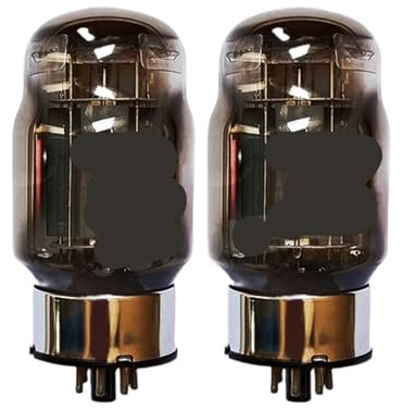 Amplificatore audio a valvole a vuoto KT100 da 1/2/4 pezzi(2PCS)