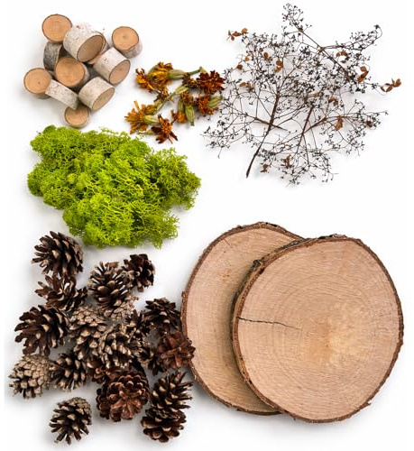 Natur Deko Set DIY Birkenholz Scheiben Moos Tannenzapfen Trockenblumen Bastelset Tischdeko Herbst Weihnachten Wald Deko Naturmaterial handgesammelt