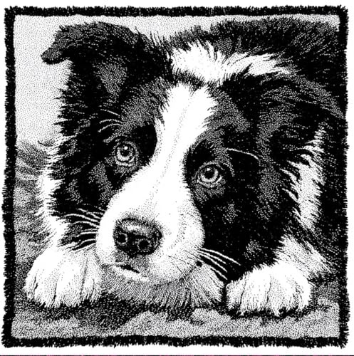 Latch Hook Cushion Kit Border Collie Dog Pet Pillowcase Sewing Making Kits DIY Croet Yarn Kits Cross Stitch Embroidery for Adults Kids DIY Craft Carpet Making Kit 43Cmx43Cm