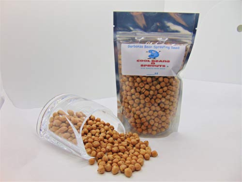 Garbanzo Bean Seeds for Sprouting Microgreens,2 oz A Rich Source of Vitamins and Minerals and Health-Promoting Nutrients! COOL BEANS N SPROUTS Brand, A Small Town Family Run USA Business