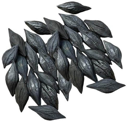 BESPORTBLE 5 Pièces 1 Briquettes De Charbon De Bois Charbon De Bois pour Griller De en Morceaux De à Griller en Plein Air Cuisinière Cheminée d'olive Black