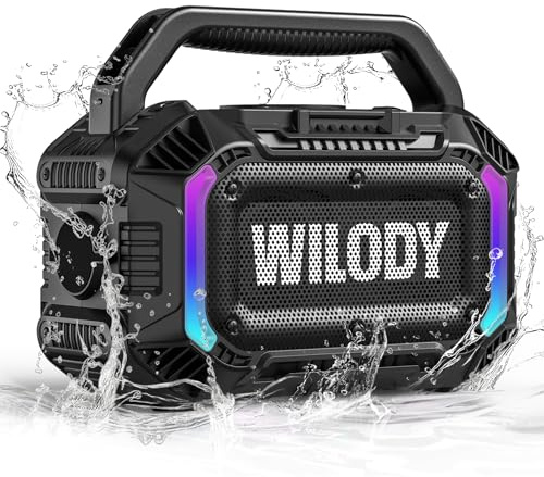 Wilody Enceinte Bluetooth Portable,Enceinte extérieure puissante avec Basses Profondes 100W,Enceinte Lumineuse IPX7,avec Recharge sans Fil,20 Heures d'autonomie,entrée TF/AUX/USB-C,TWS,BT5.3,Noir