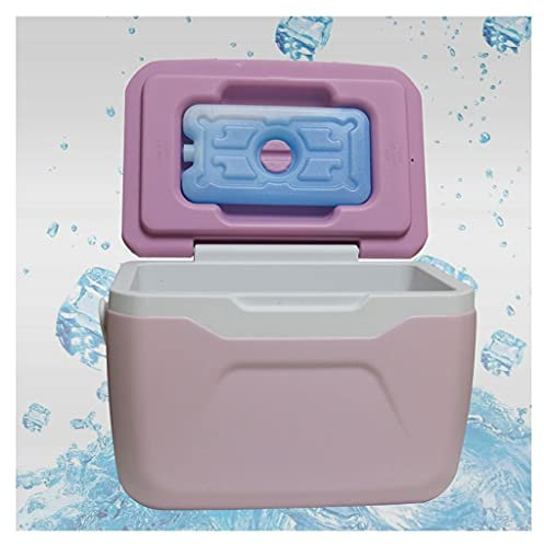 TOMYEUS Ice Beverage Tub Incubator Ice Bucket 5.5L Cold Room PU Storage Refrigerator Cold Storage Outdoor Ice Pink Purple Cooler Ice Bucket Wine Bucket (Color : Pink)