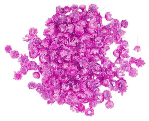 Yufana 280 Piezas Flores Secas Pequeñas y Coloridas - Para Bricolaje, Hacer Velas y Adornos Artesanales (Fucsia)