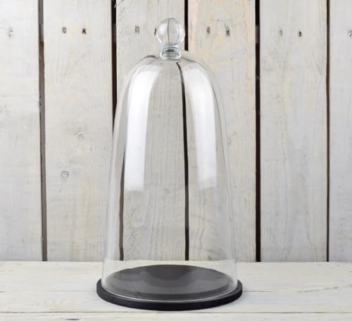 EMH Campana in vetro soffiato a bocca grande con base nera, 38 x 19,5 cm
