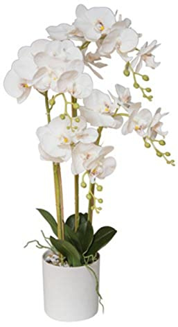 VEA SRL PLANTA GR. Orquídea Real Touch 75 cm 5806