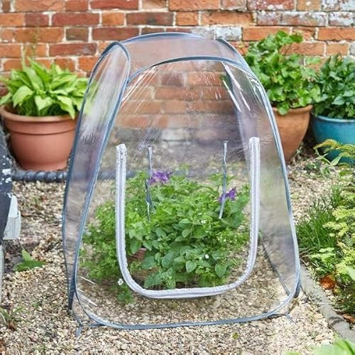 Garden Mile Large Pop Up Greenhouse Outdoor 70cm Heavy Duty Poly Tunnels For Gardens Frost Protection For Seedlings, Plants, Hanging Baskets Grow House Small Greenhouse For Small Garden