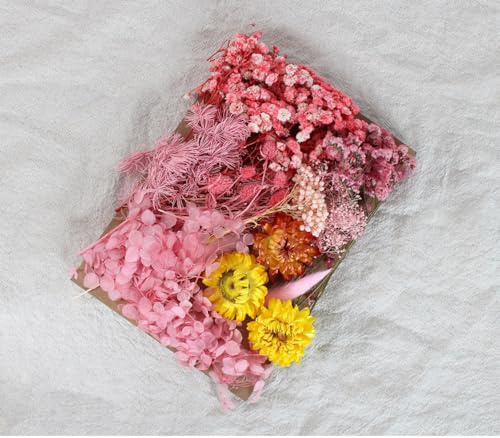 Anevous 1 Packung Natürliche Getrocknete Blumen, Trockenblumen Gemischte, DIY Getrocknet Blumen Zum Basteln, Klein Trockenblumen Set für DIY Harz Scrapbooking Handwerk Karten Machen,Rosa