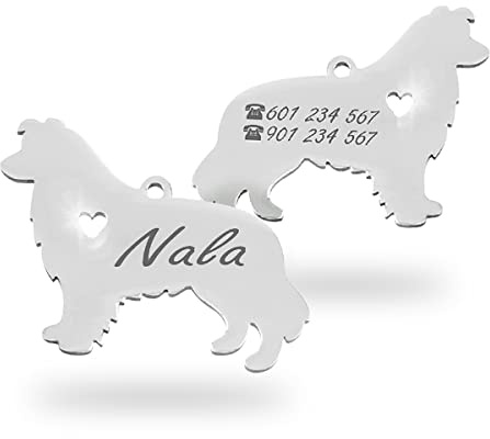 Ibera gifts Hundemarke mit Gravur, Hundemarke personalisiert, in Form eines Shetland Schäferhundes, Edelstahl, für alle Haustiere, 30 x 22 mm