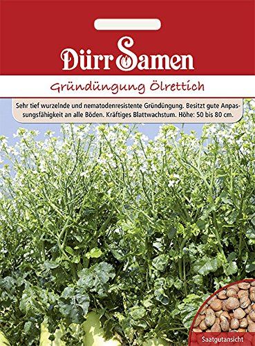 Dürr-Samen - Gründüngung Ölrettich 1 kg Saatgut