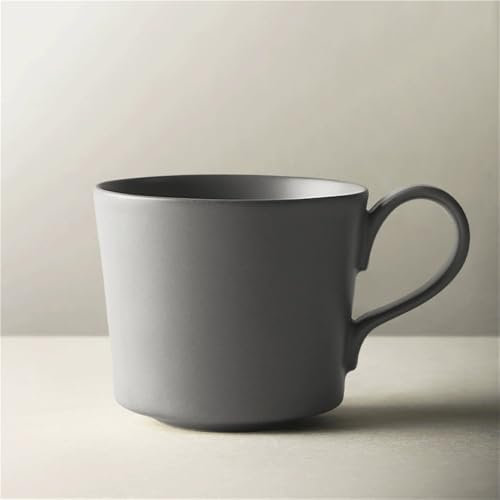 FAJNUZI2024 Tazze Tazza da caffè Tinta Unita, Set di 1 Tazza in Ceramica con più Colori, capacità 11,84 Once for Bere a casa e for L'Ufficio Tazzine caffè(Grijs)