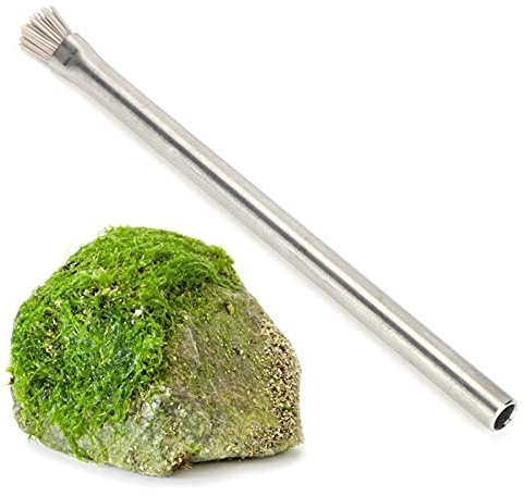 cersalt Aquarium Algenbürste, Edelstahl Algenbürste Aquarium Reinigungsbürste für Aquarium für Aquarium Glasbehälter