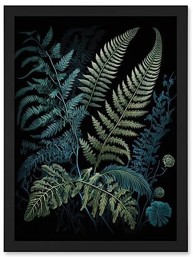 Artery8 Ernst Haeckel Style Leaf Illustration Fern Fronds Artwork Framed Wall Art Print A4