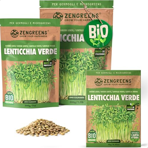 ZenGreens® - EKO Gröna linser Frön - Välj mellan 10, 200g och 500g - Gröna linser Frön med en grobarhet på över 97 procent - Groddar av Gröna linser Frön - Microgreens