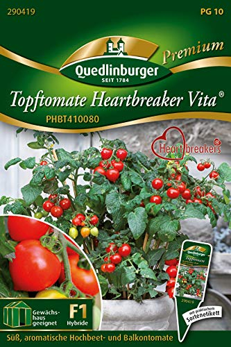 Quedlinburger 290419 Tomate Heartbreaker Vita (Tomatensamen)