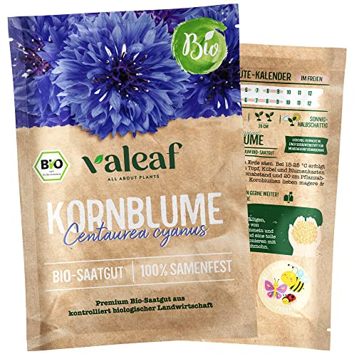 BIO Kornblumen Samen (Blau) - Samenfestes Bio-Saatgut für Garten, Balkonkasten & bunte Wildblumenwiese