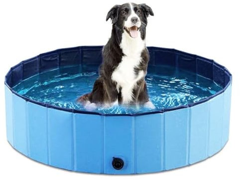 Piscina portatile for cani in PVC, pieghevole, con porta di scarico, piscina pieghevole for animali domestici, for tutti i tipi di animali domestici, blu(47.2 * 11.8 inch)