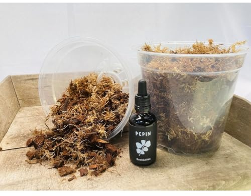 GROW-WIN Kit de rempotage pour orchidées, 2 Pots de 15cm, substrat avec sphaigne, engrais à Base d'algues pour soins des orchidées en pot