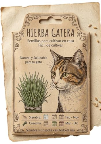 Hierba para Gato en Semillas para Cultivo Rápido en Casa | Plantación Fácil para Mascotas de Interior DECOALIVE