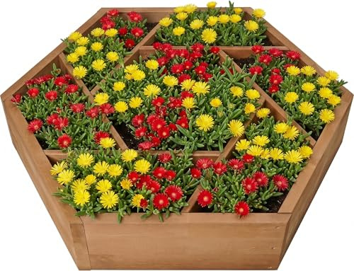 needs&wants® Bancal huerto Elevado Multi con 7 jardineras hexagonales de Madera para jardín, balcón o terraza; Estructura para bancal de Hierbas, bancal de Flores bajo, 100 x 100 x 18 cm, marrón